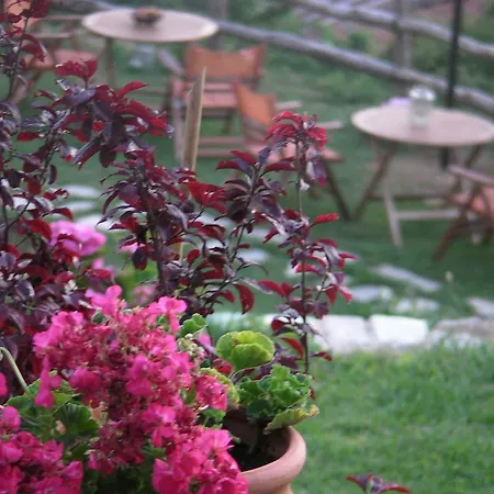 بيت ضيافة Iliopetra