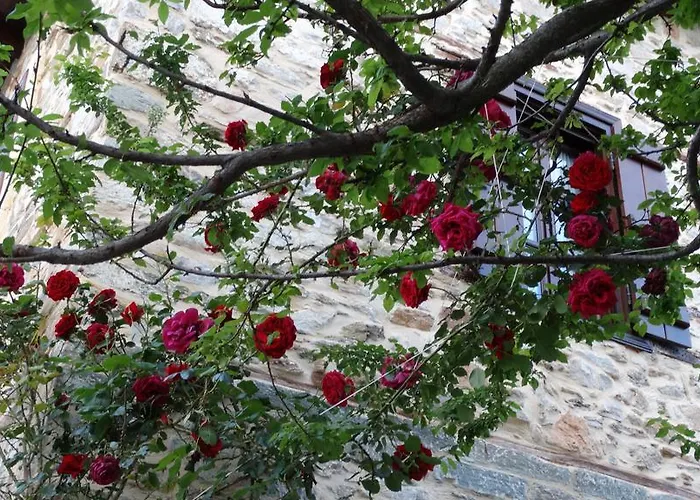 Iliopetra 4* Agios Lavrentios